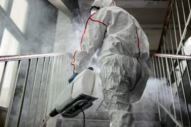 Best Asbestos and Lead Testing During Mold Inspection  in Boca Raton, FL